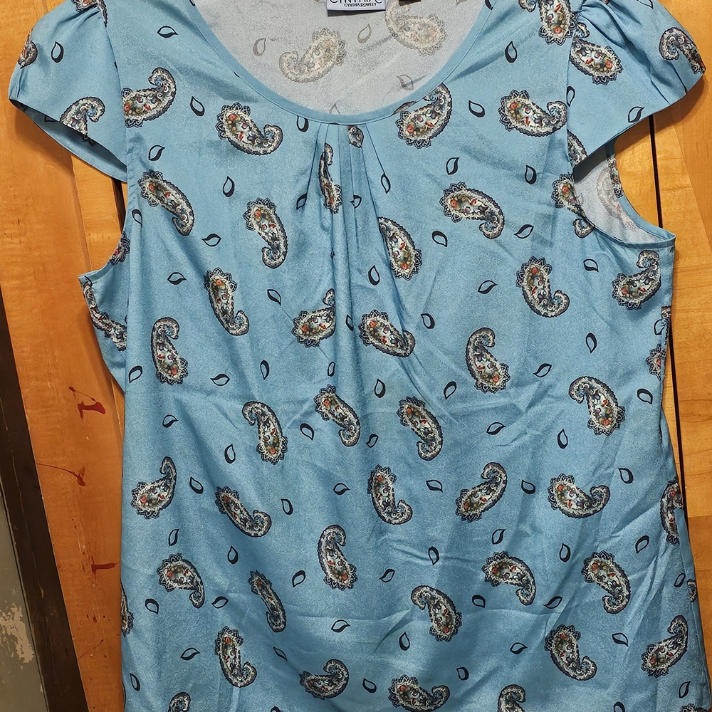 Paisley Print Blue Women's Top
